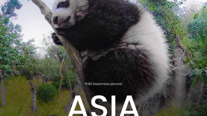 ASIA OCEANIA