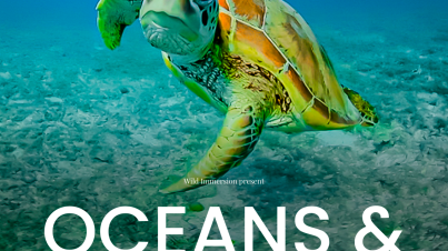 OCEANS & REEFS
